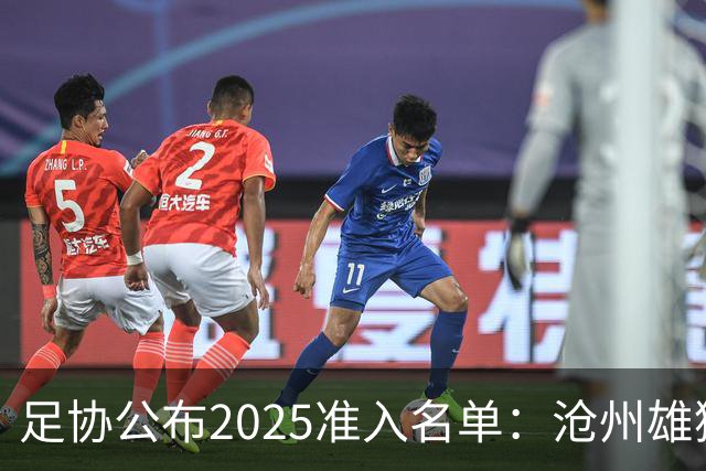 足协公布2025准入名单：沧州雄狮、广州队无缘